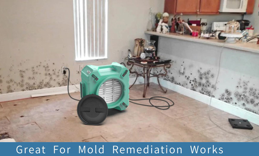 Air scrubber for mold remediation